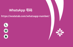 WhatsApp 号码